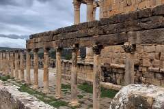 Djemila-Alzir-19