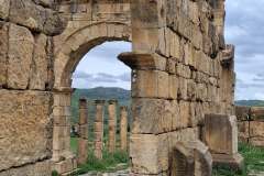 Djemila-Alzir-28