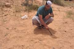 ghardaia-alzir-algeria-9