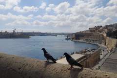 Baraka-Gardens-13