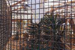 Istra-Brijuni-Brioni65