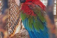 Istra-Brijuni-Brioni66