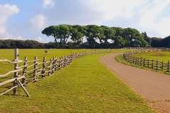 Istra-Brijuni-Brioni75