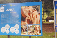 Istra-Brijuni-Brioni84