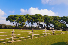 Istra-Brijuni-Brioni86