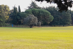 Istra-Brijuni-Brioni87