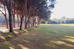 Istra-Brijuni-Brioni88