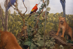 Istra-Brijuni-Brioni95