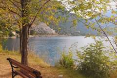 Kostanjica