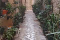 kotor3