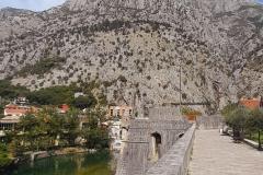 kotor8