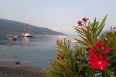 kumbor