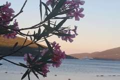 kumbor11