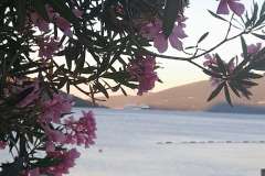kumbor12