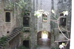 mamula6