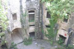 mamula9