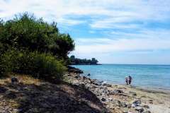 plavi-horizonti1