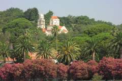savina1