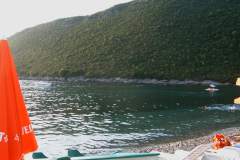 yanjic