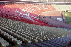 crvena-zvezda8