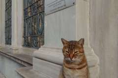 IMG_20220304_102537-Copy