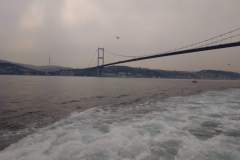 Bosfor6
