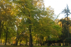 Kalemegdan26