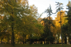 Kalemegdan25