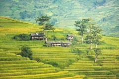 the-village-1822441_1920