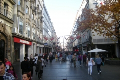 knez1