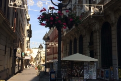 knez10