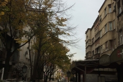 knez6