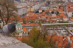 Ljubljana-29