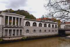 Ljubljana-Bled-47