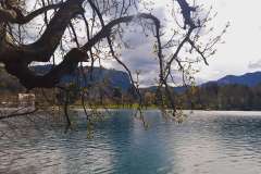 bledsko-jezero-16