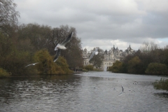 London16