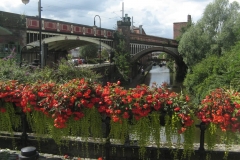 manchester41