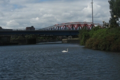 manchester42