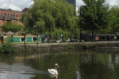 manchester44