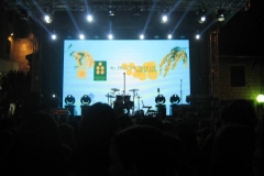 orkestar2