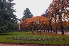 pariz-za-pocetnike-17