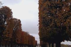 pariz-za-pocetnike-38