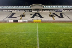 partizan3