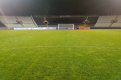 partizan4