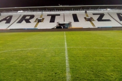 partizan5