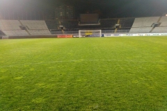 partizan6