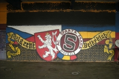 DSCN6151