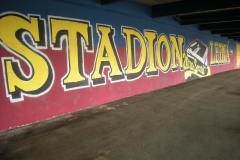 DSCN6153
