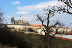 prag-cz-110