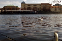 prag-cz-42
